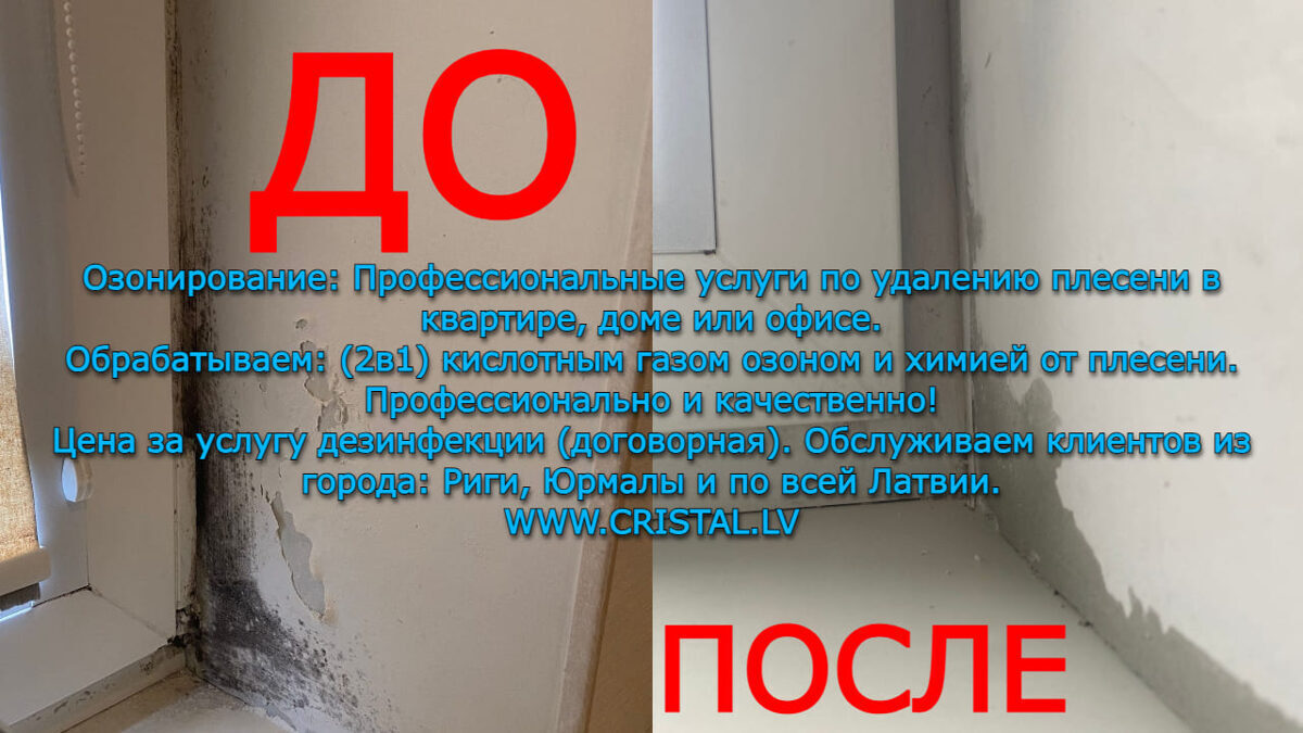 Плесень в квартире, доме или офисе «‎Озонирование (2в1) Химия» Удаляем профессионально в помещении: Рига, Юрмала, Латвия.