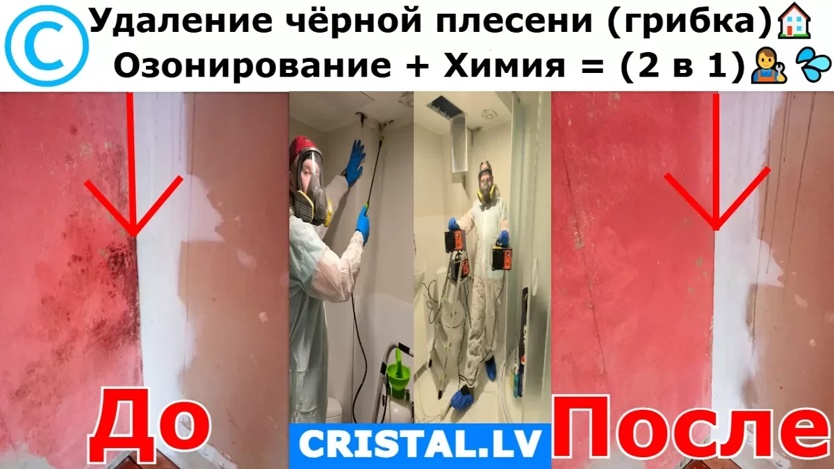 Удаление чёрной плесени (грибка) Озонирование + Химия = (2 в 1).