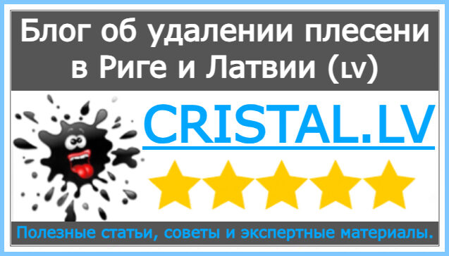 Профессиональное удаление плесени в Риге и Латвии: экспертный блог сервиса «CRISTAL.LV»