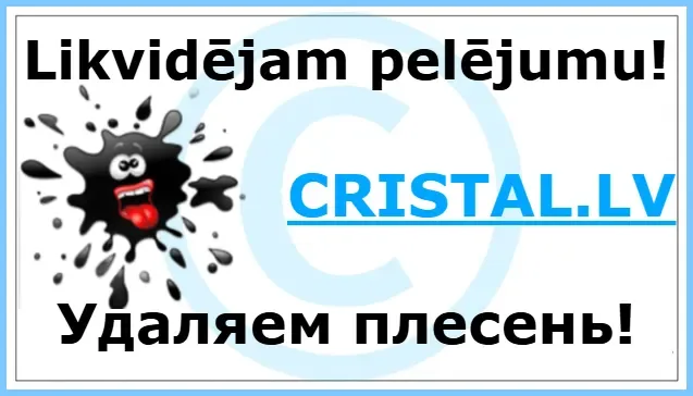 👾 “Mēs atnākam – pelējums aiziet!” Jeb kā izlikt no mājas neaicinātus viesus 🏠