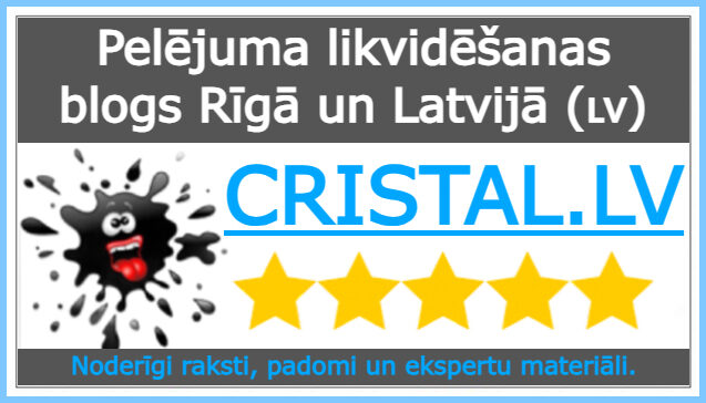 Profesionāla pelējuma likvidēšana Rīgā un Latvijā: ekspertu blogs servisa «CRISTAL.LV»