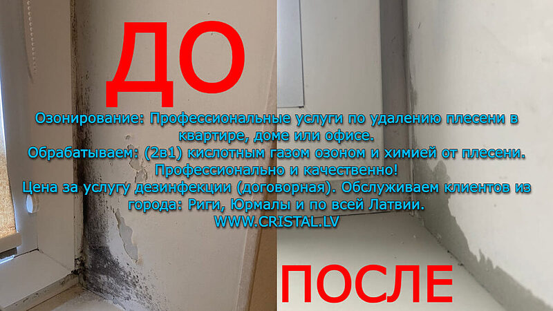 Плесень в квартире, доме или офисе «‎Озонирование (2в1) Химия» Удаляем профессионально в помещении: Рига, Юрмала, Латвия.