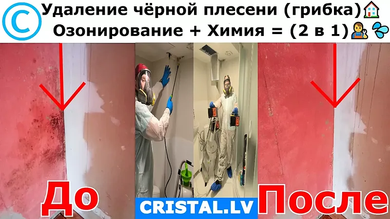 Удаление чёрной плесени (грибка) Озонирование + Химия = (2 в 1).