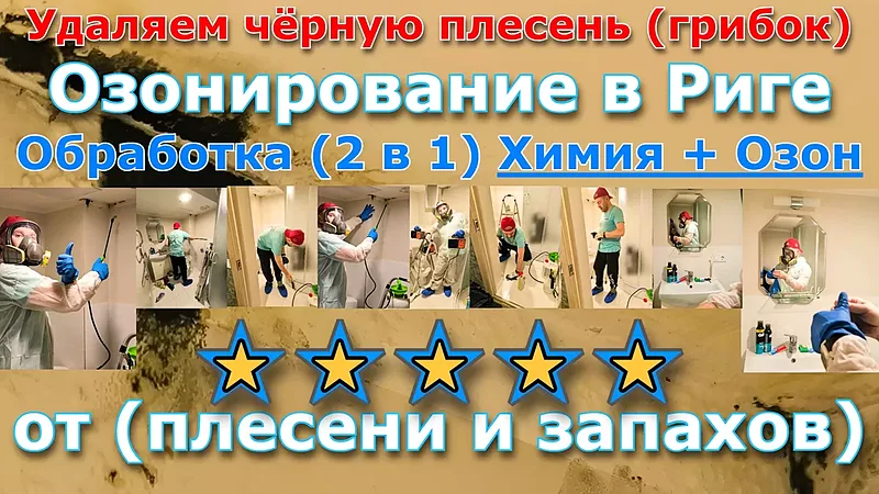 Удаляем чёрную плесень (грибок) Озонирование в Риге Обработка (2 в 1) Химия + Озон от плесени, грибка и запахов.