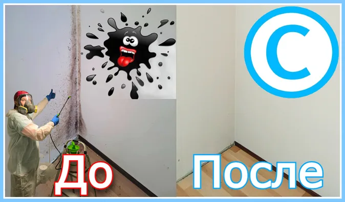 Чёрная плесень на стене в жилой комнате до профессиональной обработки и чистая стена после удаления плесени