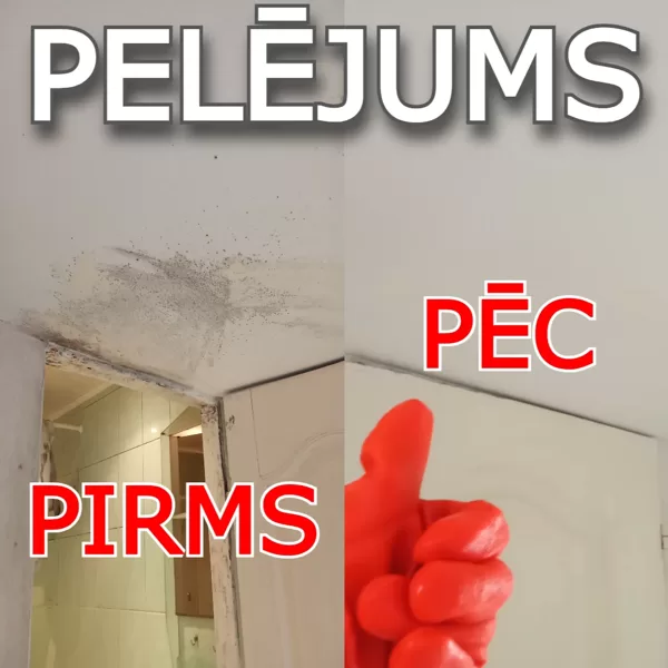 Pelējums uz griestiem pirms noņemšanas un pēc pretpelējuma apstrādes Rīgā un Latvijā.