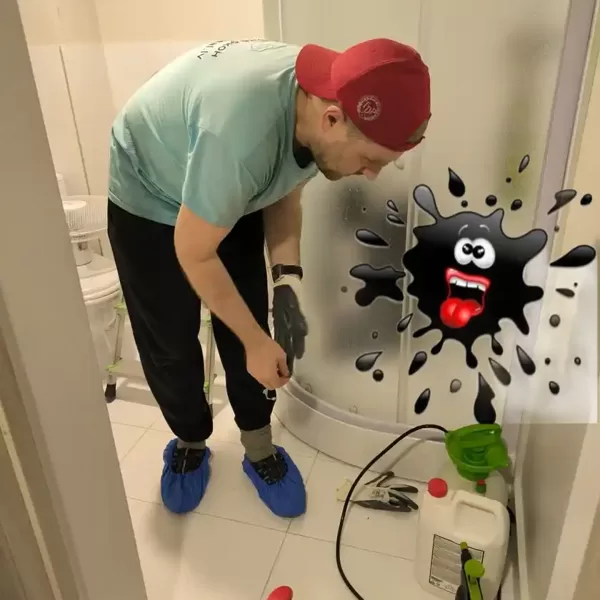 Profesionāla ķīmija līdzekļi melnā pelējuma noņemšanai: Rīga un visā Latvijā.