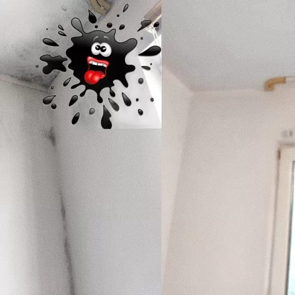 Pelējums uz sienas stūrī un uz griestiem (Pirms un Pēc) tīrīšana ar speciāliem līdzekļiem pret pelējumu.