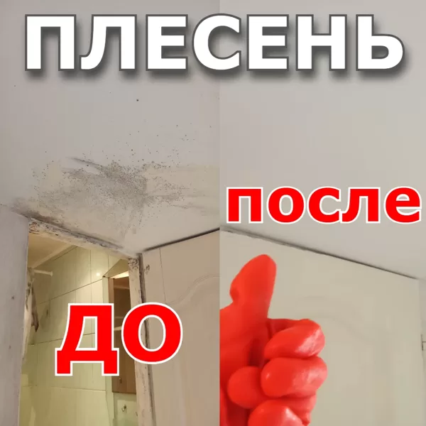 Плесень на потолке до удаления и после антиплесневая обработка в Риге и Латвии.