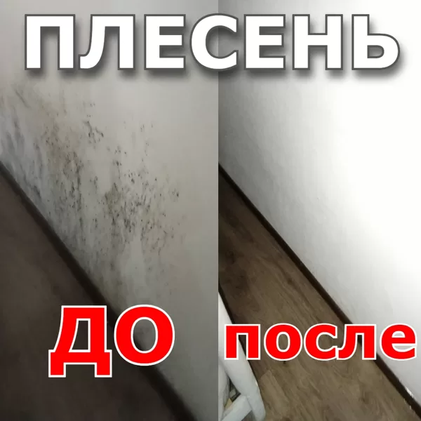 Плесень на стене в комнате до обработки химией и средствами от плесени и грибка.