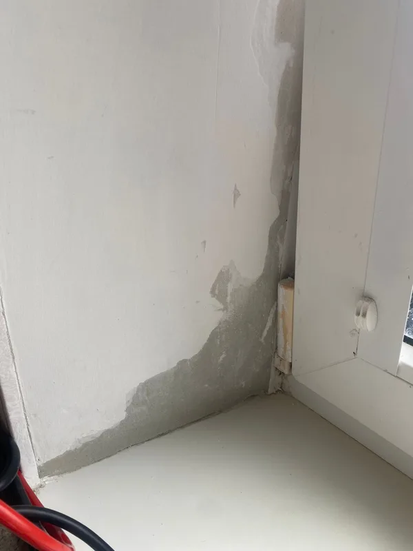 Melnais pelējums pie loga tika noņemts pēc ķīmiskās apstrādes un ozonēšanas dzīvoklī Rīgā