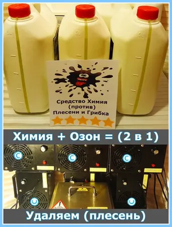 Средства против плесени и генераторы озона для глубокой дезинфекции помещений в Риге, Юрмале и Латвии