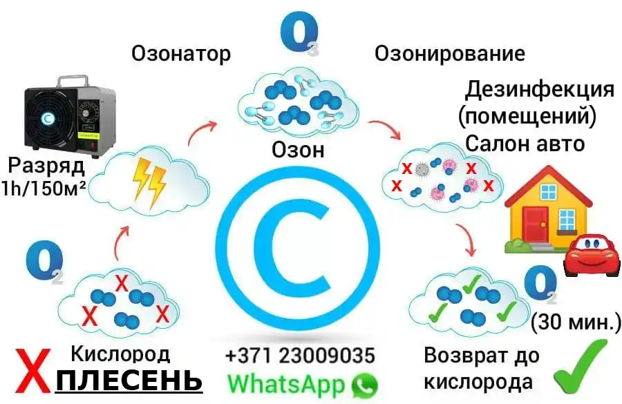 Как происходит удаление плесени и грибка лучшее средство от плесневых грибков химия + озон = (2 в 1)