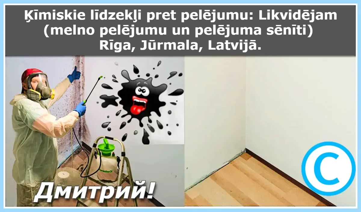 Ķīmiskie līdzekļi pret pelējumu: Likvidējam (melno pelējumu un pelējuma sēnīti) Rīga, Jūrmala, Latvijā.