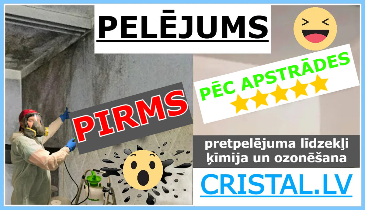 Pelējums: Pretpelējuma līdzekļi, ķimija un telpu ozonešāna. Pelējuma noņemšana: Rīga, Jūrmala, Latvija 👨‍🔧🏠💦