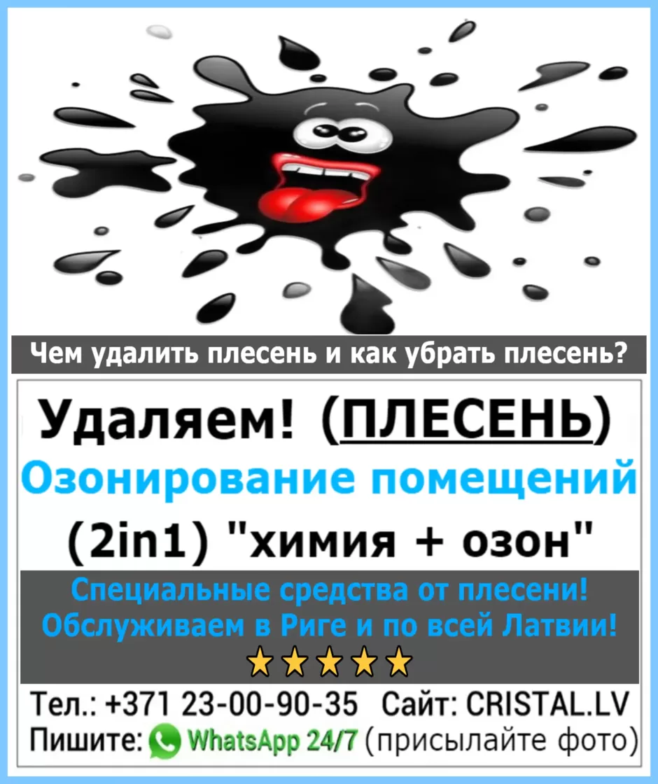 Чем удалить и как убрать плесень? Специальные средства от плесени: Обслуживаем в Риге и по всей Латвии!👨🔧🏠💦