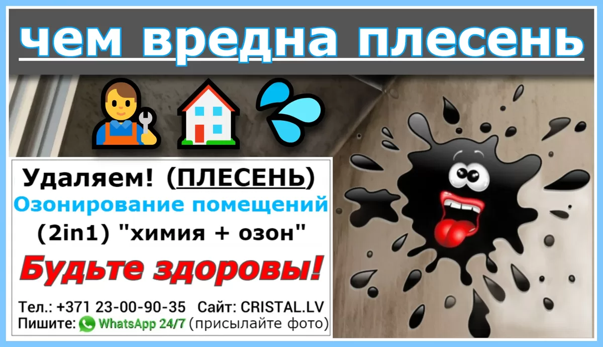 Чем вредна и опасна плесень? Удаляем плесень, средства от плесени: Озонирование помещений (2 in 1) химия + озон. Будьте здоровы!👨🔧🏠💦