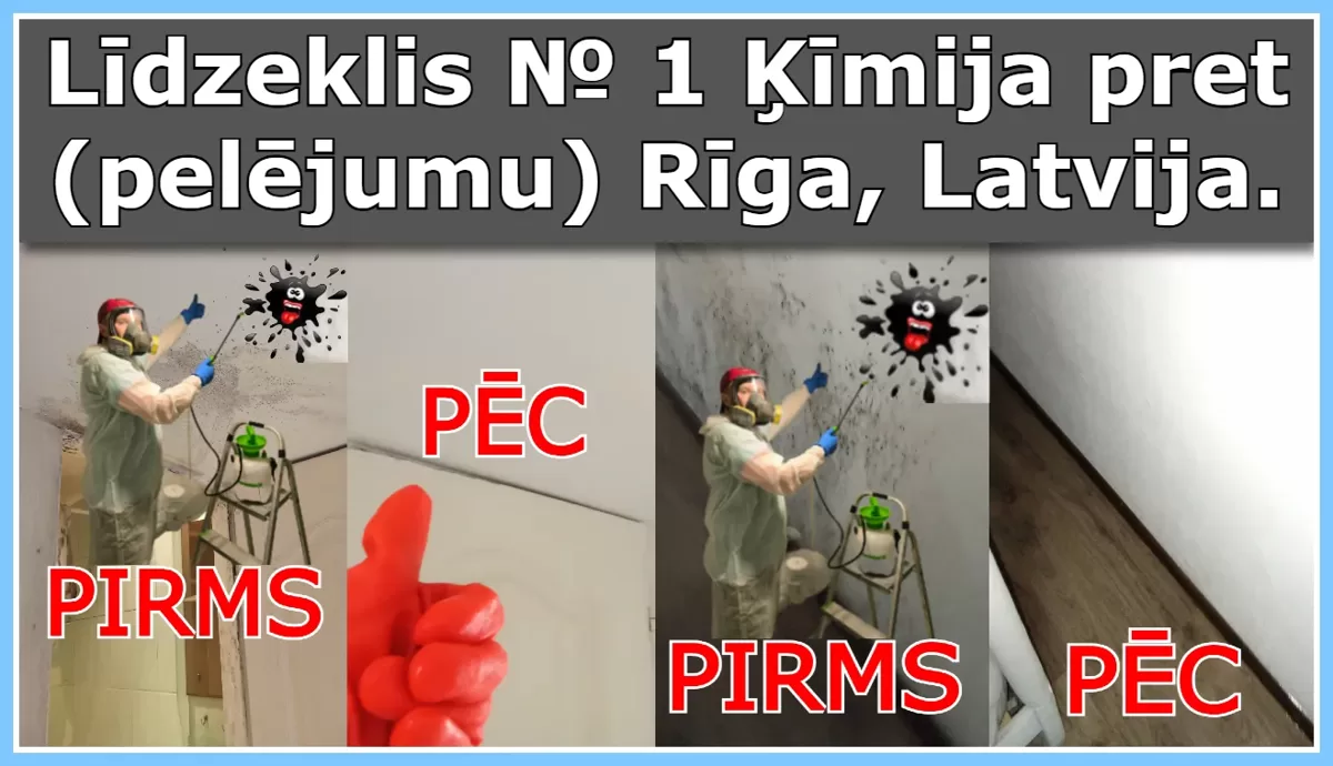 Līdzeklis № 1 Ķīmija pret (pelējumu) Rīga, Latvija | Likvidējam pelējumu jūsu dzīvoklī vai mājā👨‍🔧🏠💦
