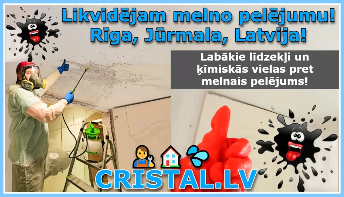 Likvidējam melno pelējumu! Rīga, Jūrmala, Latvija! Labākie līdzekļi un ķīmiskās vielas pret melnais pelējums!👨‍🔧🏠💦