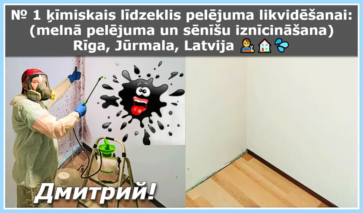 Nr. 1 ķīmiskais līdzeklis pelējuma likvidēšanai: (melnā pelējuma un sēnīšu iznīcināšana) Rīga, Jūrmala, Latvija👨‍🔧🏠💦