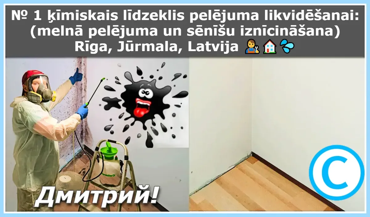 № 1 ķīmiskais līdzeklis pelējuma likvidēšanai: (melnā pelējuma un sēnīšu iznīcināšana) Rīga, Jūrmala, Latvija 👨‍🔧🏠💦