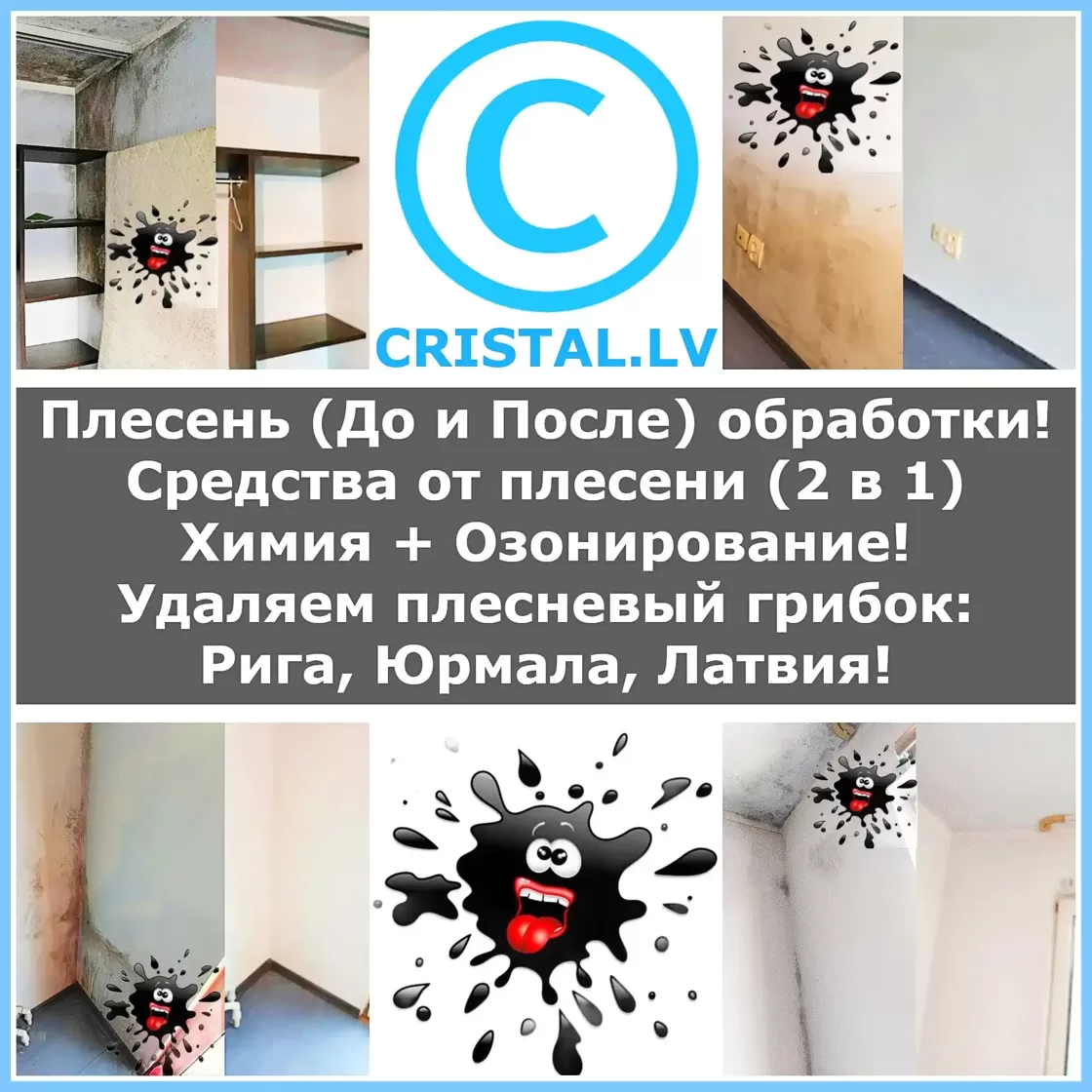 Плесень (До и После) обработки! Средства от плесени (2 в 1) Химия + Озонирование! Удаляем плесневый грибок: Рига, Юрмала, Латвия!👨‍🔧🏠💦