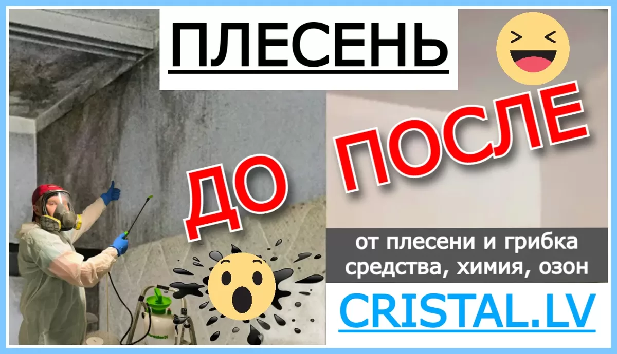Средства от плесени и грибка: Химия и Озонирование помещений. Удаляем плесень: Рига, Юрмала, Латвия 👨‍🔧🏠💦