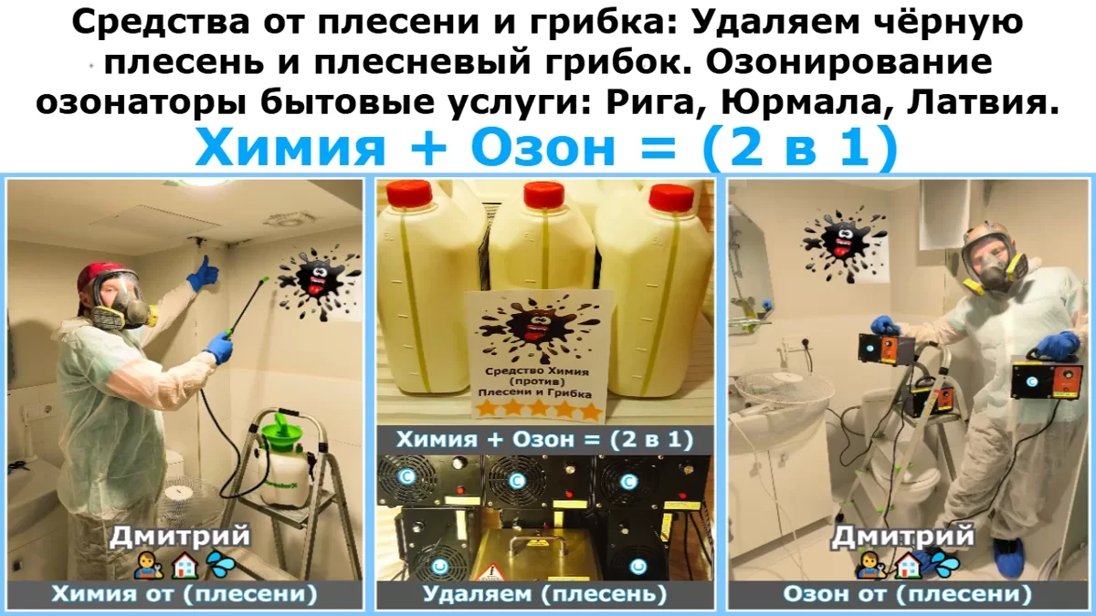 Средства от плесени и грибка: Удаляем чёрную плесень и плесневый грибок. Озонирование озонаторы бытовые услуги: Рига, Юрмала, Латвия. Химия + Озон = (2 в 1)