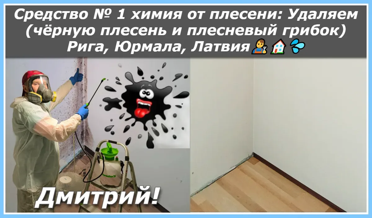 Средство № 1 химия от плесени: Удаляем (чёрную плесень и плесневый грибок) Рига, Юрмала, Латвия👨‍🔧🏠💦