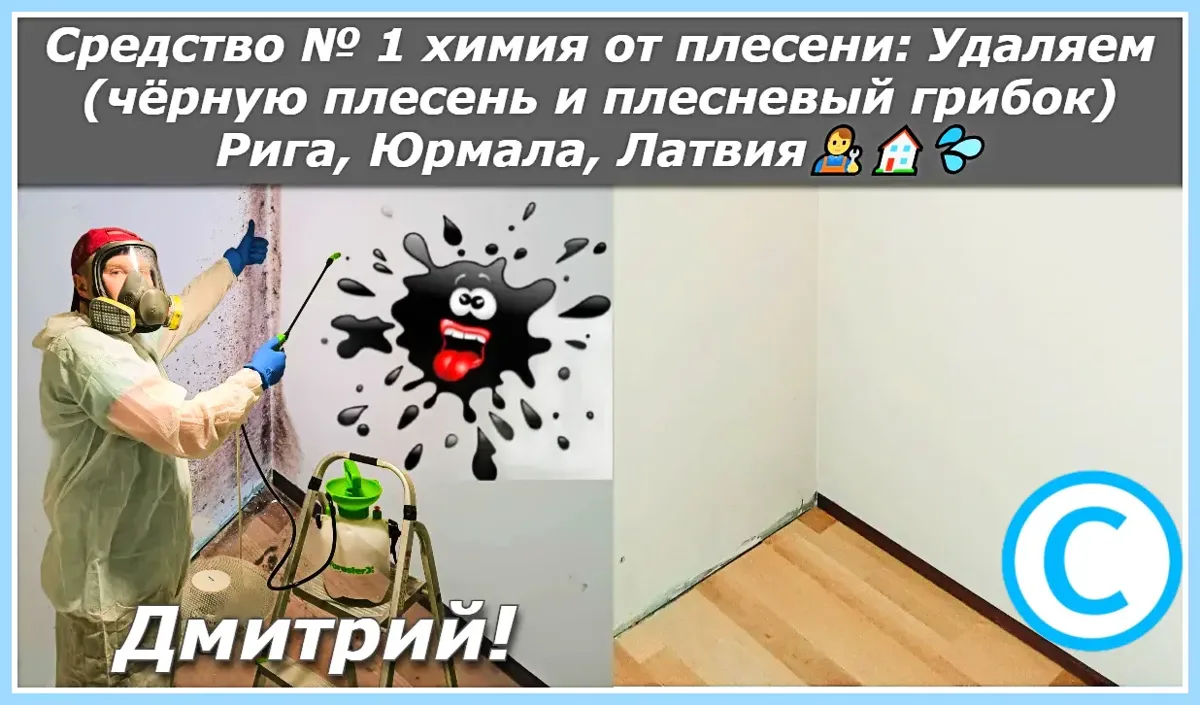 Средство № 1 химия от плесени: Удаляем (чёрную плесень и плесневый грибок) Рига, Юрмала, Латвия👨🔧🏠💦
