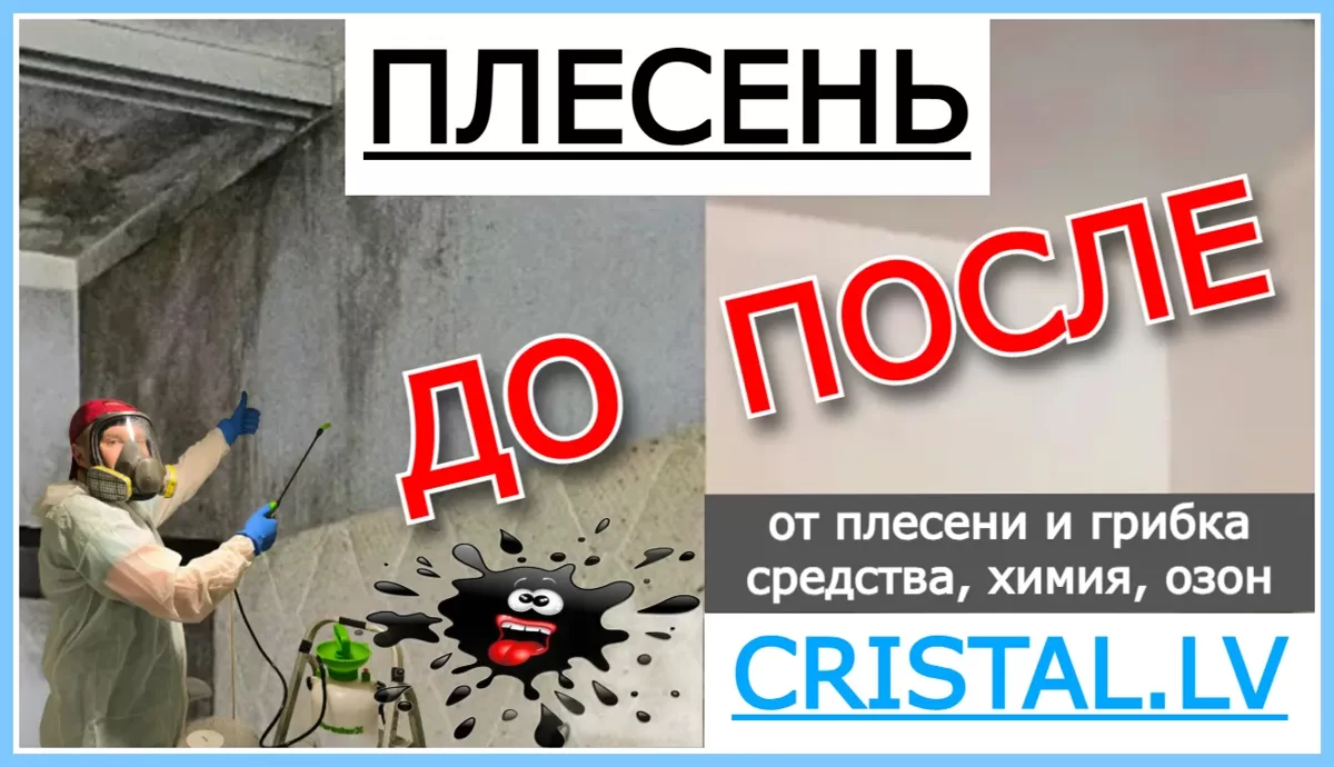 Средство № 1 от чёрной плесени и плесневого грибка: Химия и Озонирование помещений. Удаляем плесень: Рига, Юрмала, Латвия 👨‍🔧🏠💦