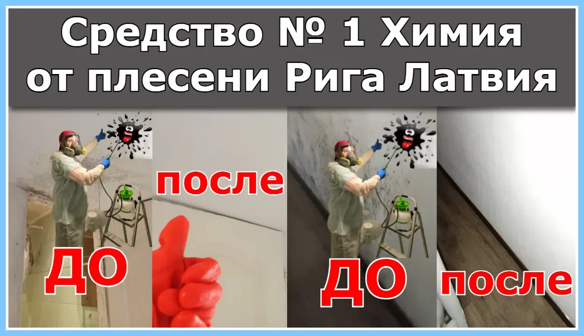Средство № 1 Химия от плесени: Рига, Латвия | Удаляем плесень и плесневый грибок в квартире или доме👨‍🔧🏠💦
