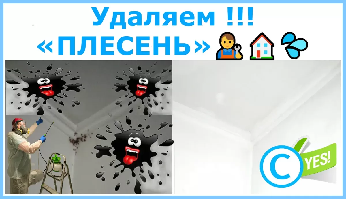 Удаляем чёрную плесень и плесневый грибок. (Химия и озонирование) Средства от плесени и грибка: Рига, Юрмала, Латвия👨‍🔧🏠💦