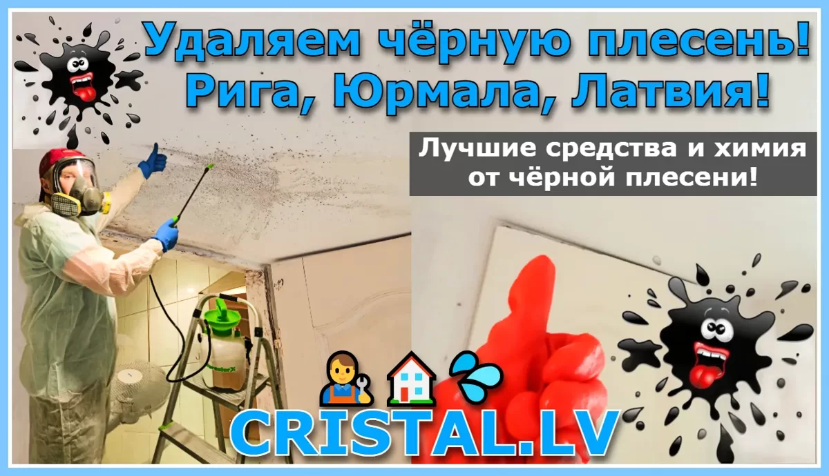 Удаляем чёрную плесень! Рига, Юрмала, Латвия! Лучшие средства и химия от чёрной плесени!👨‍🔧🏠💦