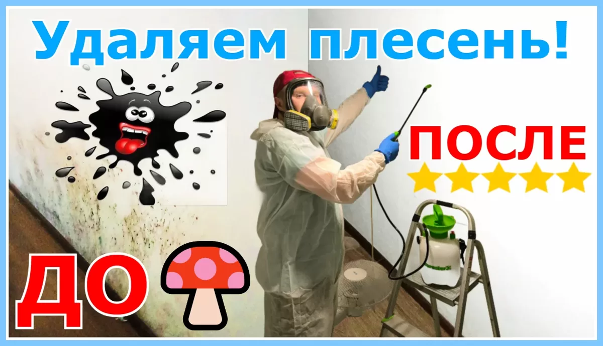 Удаляем плесень и плесневый грибок в Риге, Юрмале, Латвии. (До и После) дезинфекция (Химия + Озонирование)👨‍🔧🏠💦