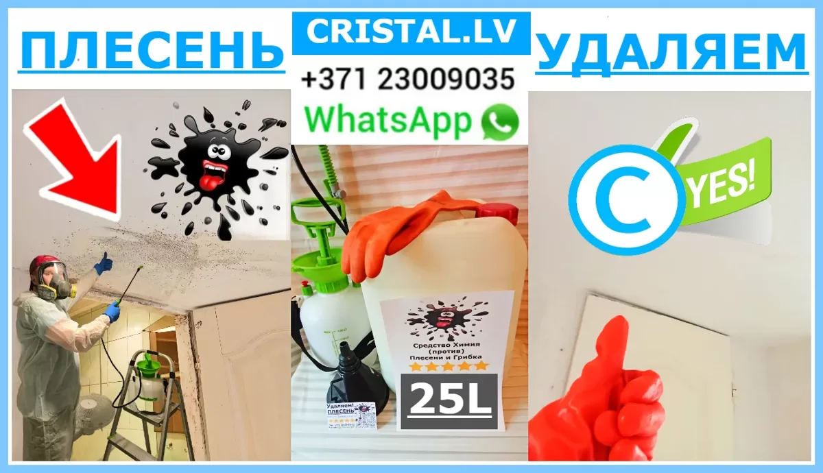 № 1 Химия и средство от плесени | Удаляем плесень в Риге, Юрмале и по всей Латвии👨‍🔧🏠💦