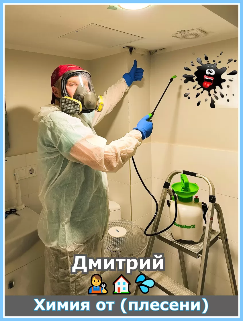 Химия от плесени мастер дезинфектор Дмитрий обрабатывает стену химией от плесени в Риге, Латвия.