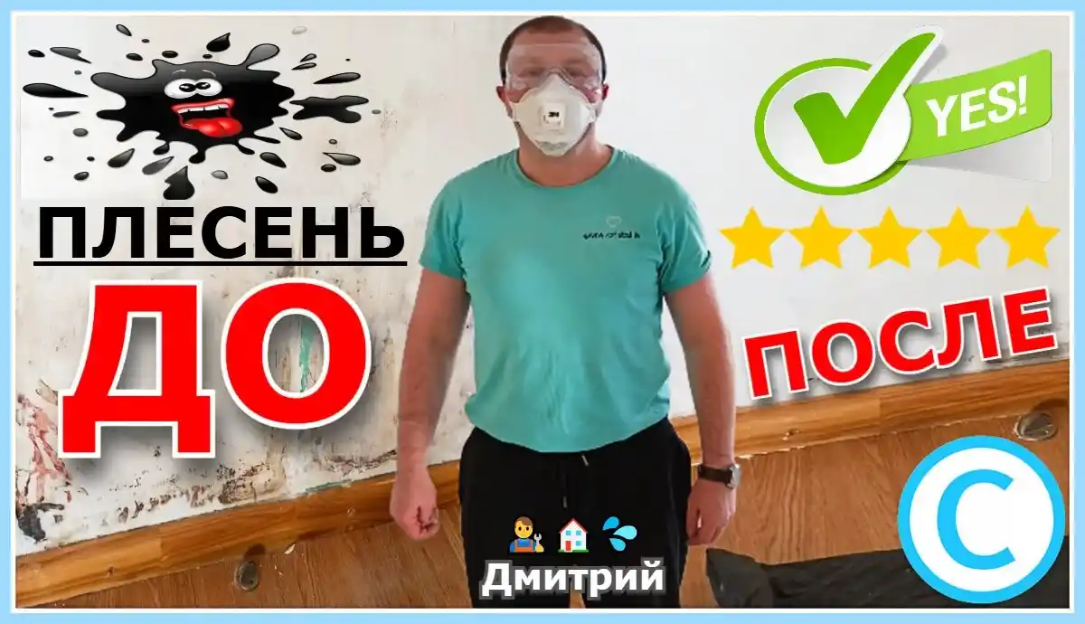 Плесень на стене плесневый грибок до обработки и после удаления чистая стена без плесени и грибка Дмитрий дезинфектор.