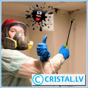 Sertificēts meistars dezinfektors Dmitrijs aizsargmaskā veic pelējuma likvidēšanu Rīgā un Latvijā — serviss CRISTAL.LV