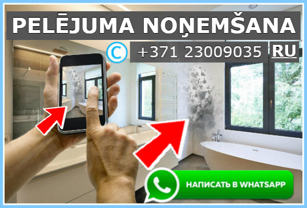 SŪTĪT» LAI UZZINĀTU PRECĪZU (CENU) JŪSU FOTO "PELĒJUMS UN SĒNE" WhatsApp 24/7