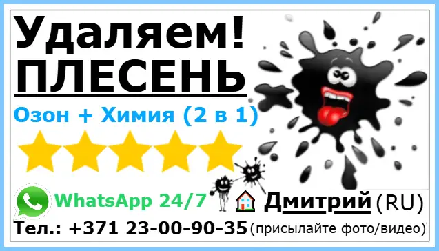 Удаляем плесень «Озон + Химия» (2 в 1) — присылайте фото или видео на WhatsApp 24/7, Дмитрий, мастер-дезинфектор