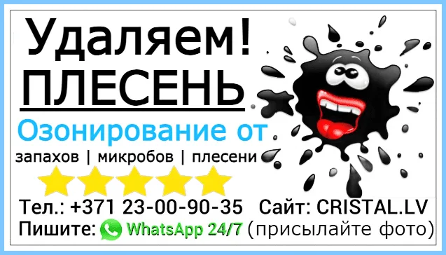 Удаляем плесень: Озонирование от запахов, микробов и плесени. Предлагаем озонаторы (газ озон) в Риге, Юрмале и по всей Латвии.