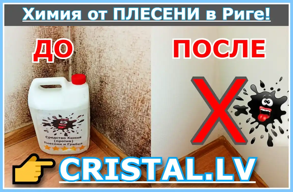 Химия от плесени в Риге средство против грибка (До и После) обработки: CRISTAL.LV👨‍🔧🏠💦